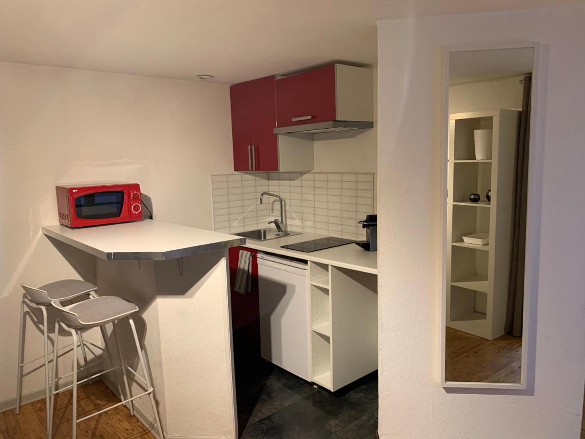 Grand Studio - Au Faubourg - Strasbourg Centre Apartment Bagian luar foto
